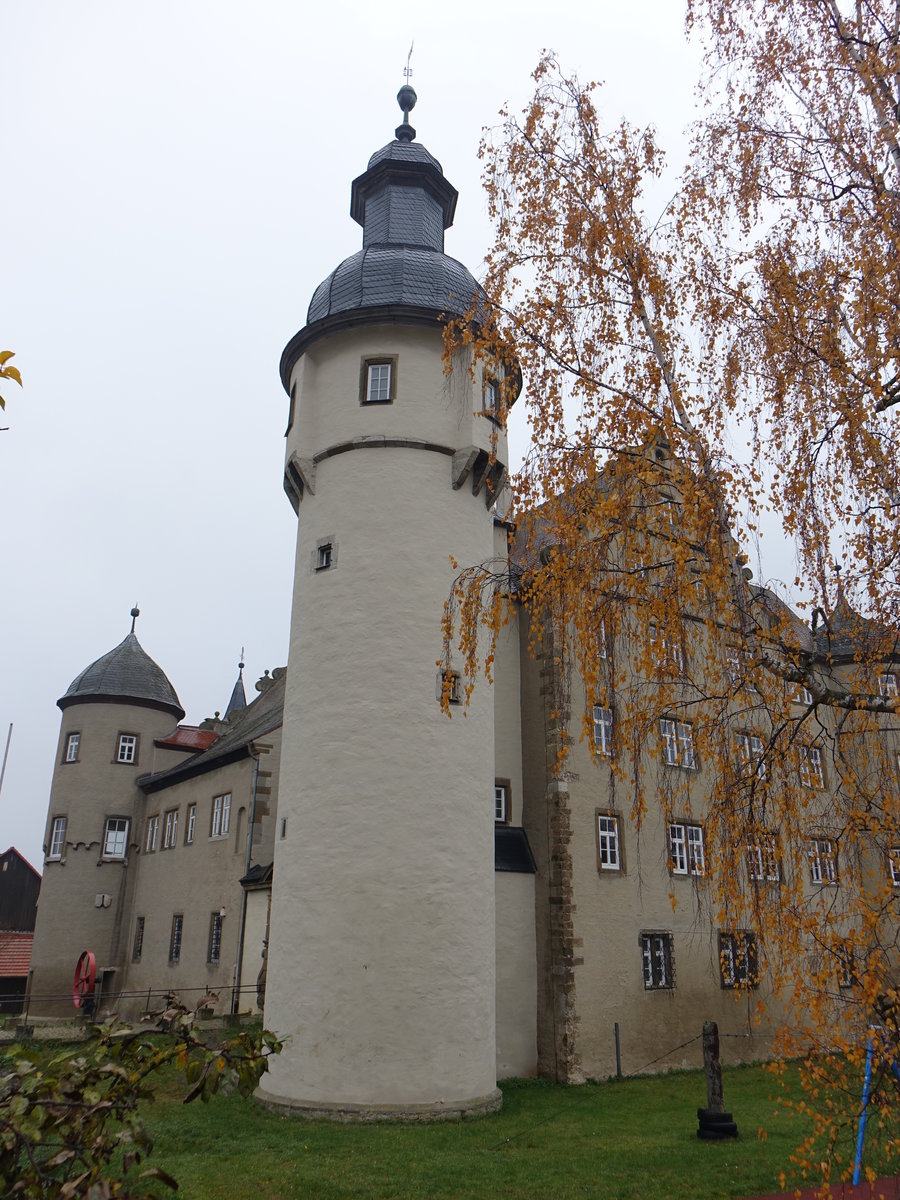 Schloss Waldmannshofen, Renaissance-Schloss von 1544 mit  Feuerwehrmuseum (27.11.2016)