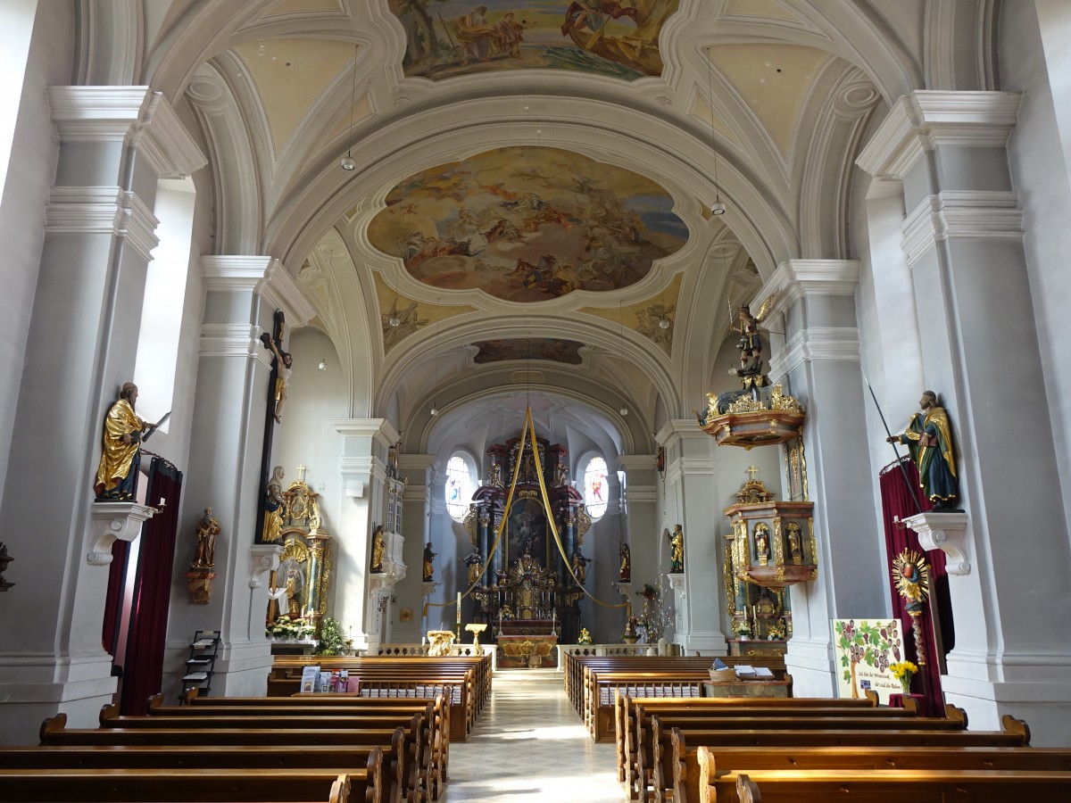 Schnaittenbach, Altre und Kanzel von Johann Michael Doser in der Pfarrkirche St. Vitus (06.04.2015)