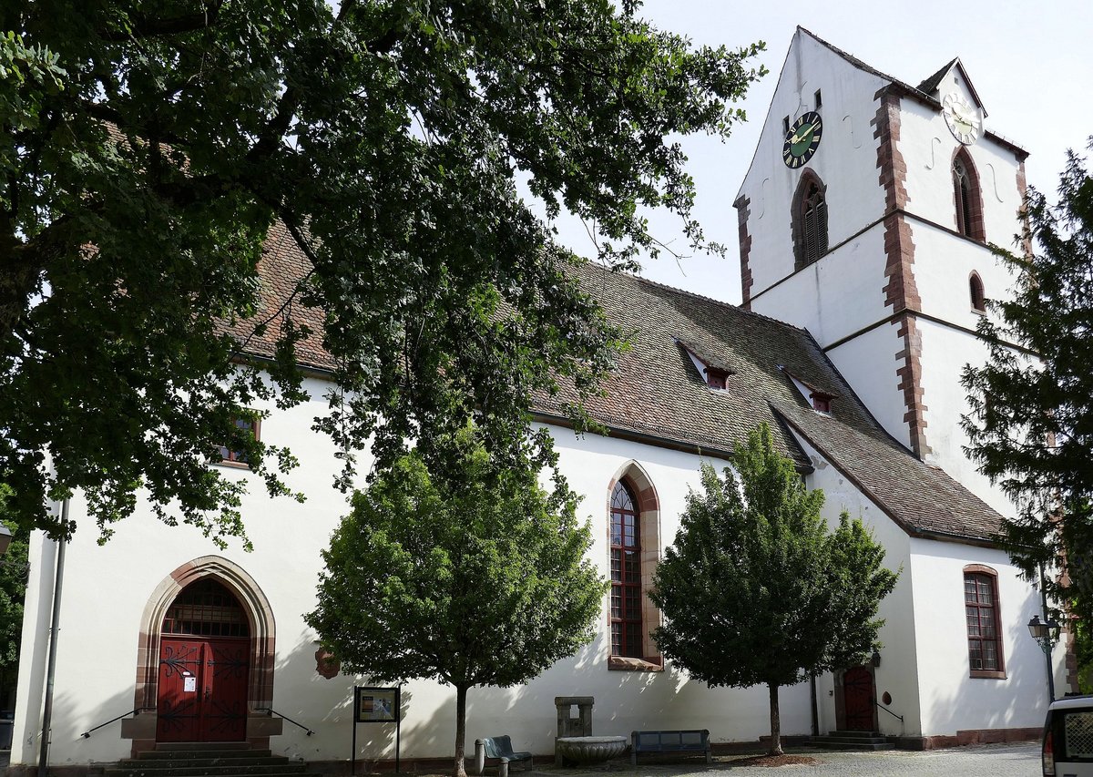 Schopfheim, die Alte Stadtkirche St.Michael, mit Wandmalerein aus dem 13.Jahrhundert, Juli 2020