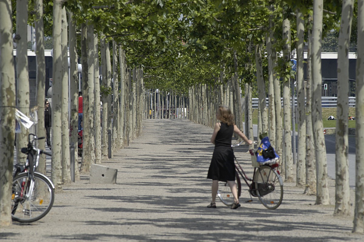 Schoufer in Dsseldorf. Aufnahme: Mai 2007.