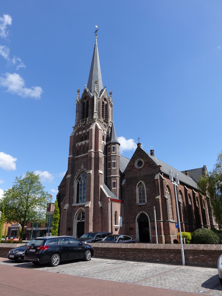 Schoten, sptgotische St. Cordula Kirche, erbaut von 1611 bis 1618 (28.04.2015) 