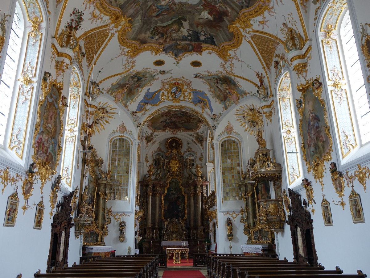 Schulkirche in Amberg, Rokokokirche, erbaut 1697 durch Wolfgang Dientzenhofer, 1758 erweitert, Stuck von Anton Landes, Fresken vom Hofmaler Gottfried Bernhard Gtz, Bildhauerarbeiten von Franz Joachim Schlott (06.04.2015)