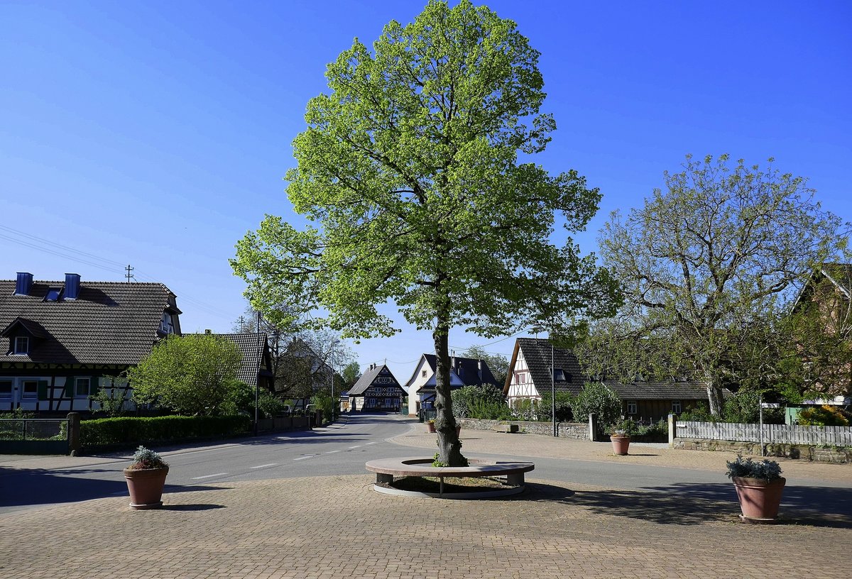 Schutterzell, Blick von der Kirche St.Michael Richtung Lahrer Strae, April 2020