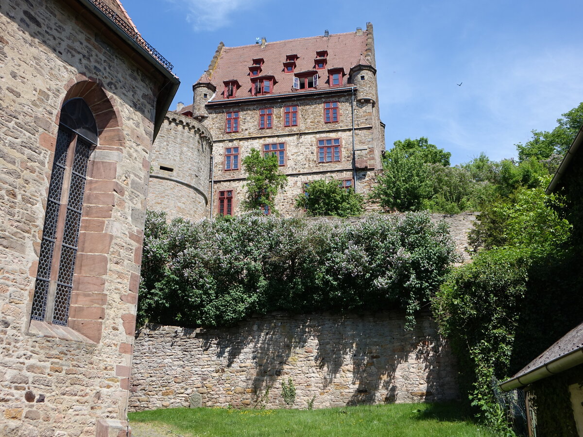 Schweinsberg, Hhenburg auf einem kleinen Basaltkegel, erbaut ab 1231 (15.05.2022)