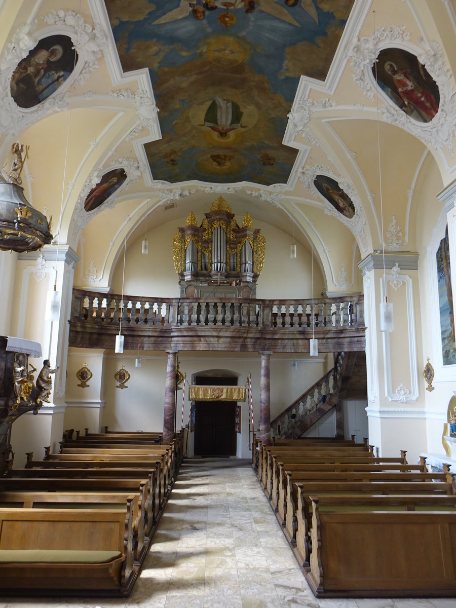 Schwemmelsbach, Orgelempore und Deckenfresken in der St. Cyriakus Kirche (26.05.2018)