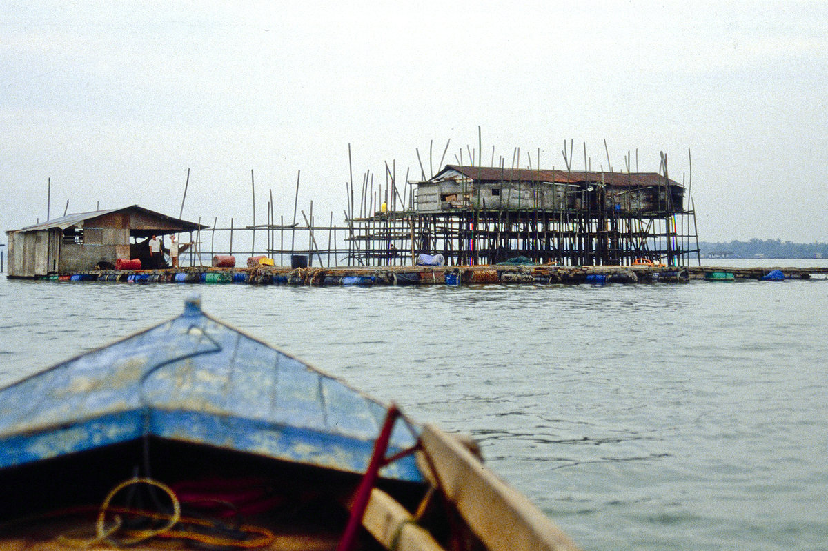 Schwimmendes Dorf vor Pontiac im Johor-Provinz in Malaysia. Bild vom Dia. Aufnahme: Mrz 1989.