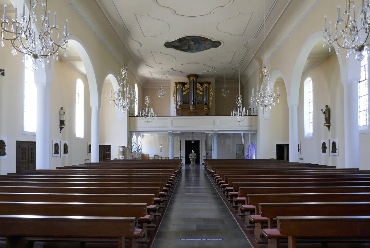Seelbach, St.Nikolaus-Kirche, Blick zur Orgelempore mit der historisch wervollen Stieffell-Orgel von 1781, Juli 2020