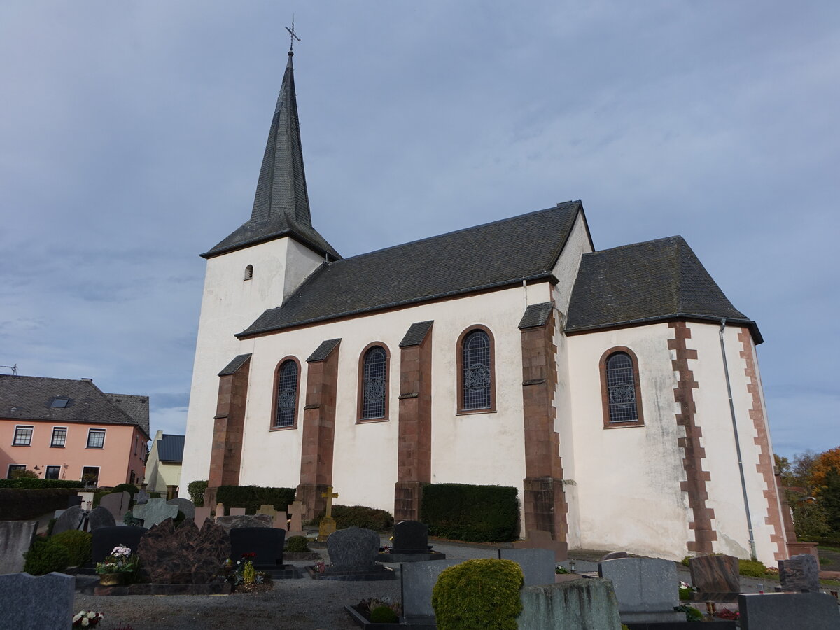 Seinsfeld, Pfarrkirche St. Dionysius, erbaut von 1739 bis 1741 (06.11.2025)
