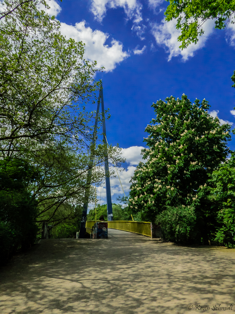Seit 1971 verbindet der Volksparksteg als erste Berliner Schrgseilbrcke die beiden durch die Bundesallee getrennten Teile des Volksparks Wilmersdorf. (08.05.2016)