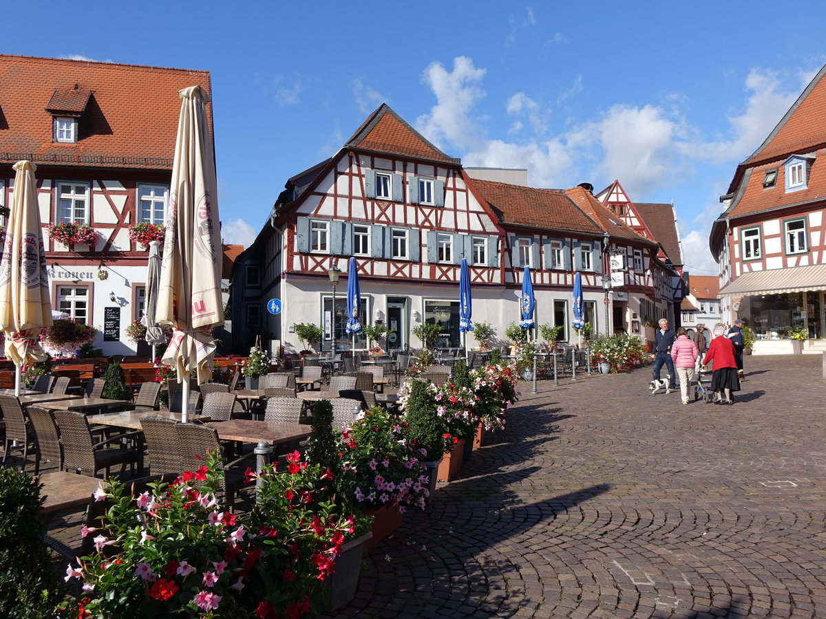 Seligenstadt, Fachwerkhuser am Freihofplatz (02.10.2016)