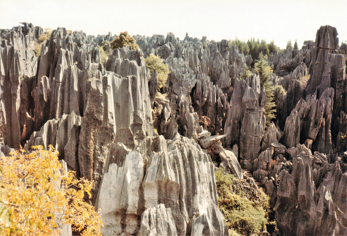 Shilin, Steinwald von Lunan. In der sdchinesischen Provinz Yunnan rund 120 Kilometer von der Provinzhauptstadt Kunming liegt der autonome Kreis Shilin, in dem die eindrucksvolle Karstlandschaft zu finden ist​. Fotografiert am 8. November 1984