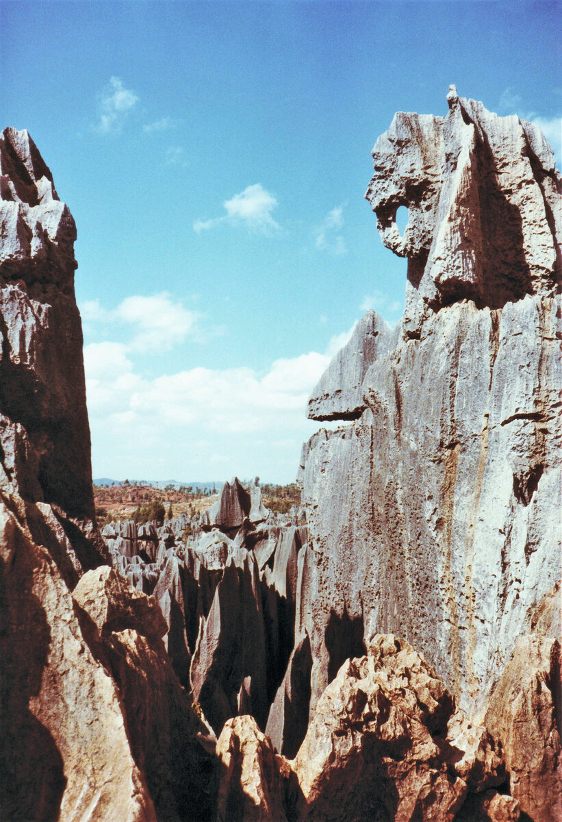 Shilin, Steinwald von Lunan in der Yunnan Provinz, 120 Kilometer sdstlich von der Provinzhauptstadt Kunming. Auf dem Bild sieht man den Elefant, fotografiert am 8. November 1984