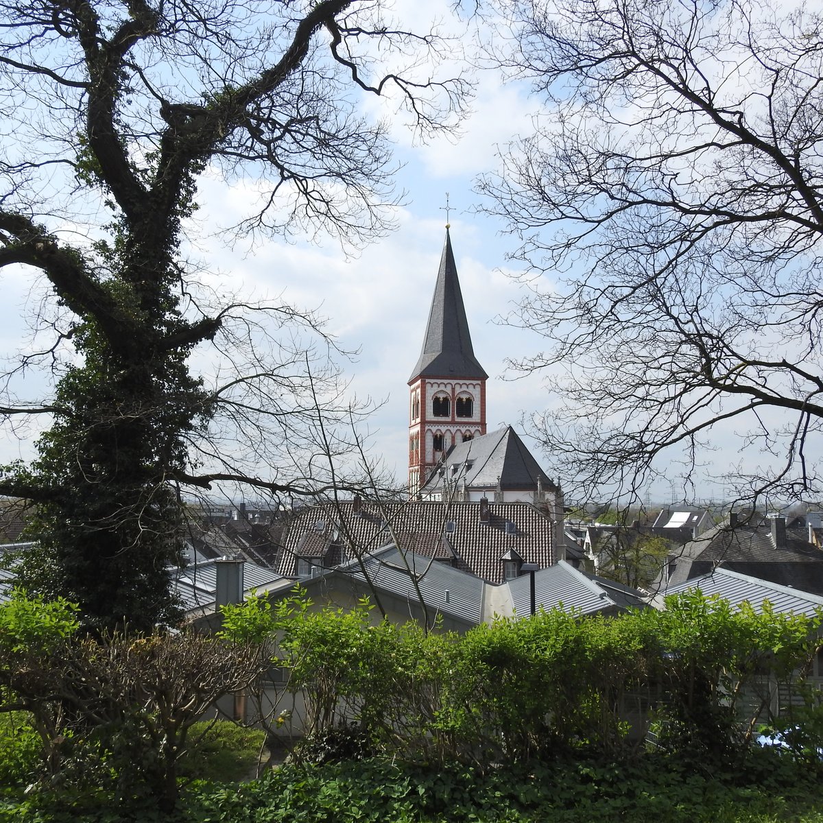 SIEGBURG MIT ST. SERVATIUS
Vom unteren Teil des MICHAELSBERGES,geologisch ein erloschener Vulkan,fllt der Blick auf die Kreisstadt des
Rhein-Sieg-Kreises mit der um 1200/1300 zur zweischiffigen Emporen-Basilika erweiterten Stadtkirche  St. Servatius ,
hier am 6.4.2017...
