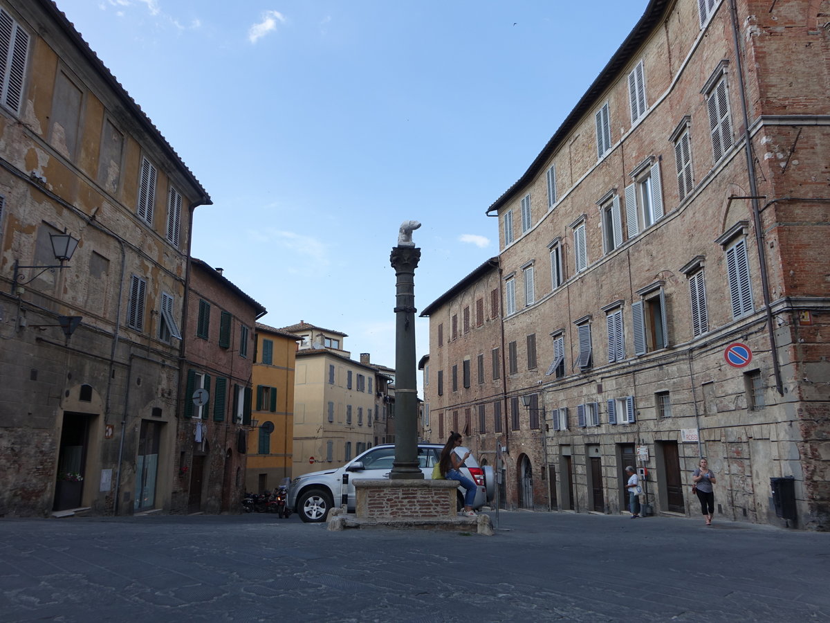 Siena, Sule an der Via di San Martino in der Altstadt (17.06.2019)