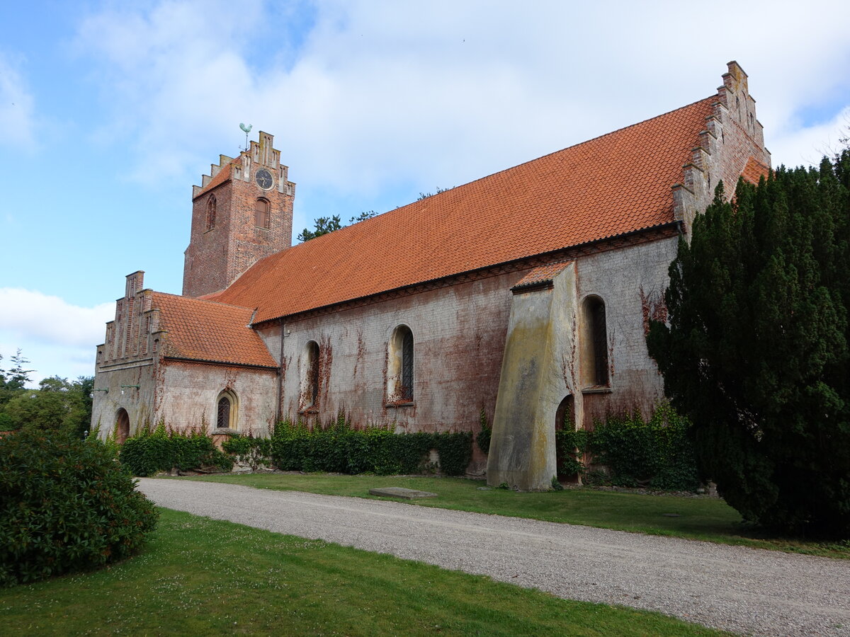 Sklskr, evangelische Pfarrkirche St. Nikolai, erbaut 1230, Gewlbe um 1300 (17.07.2021)