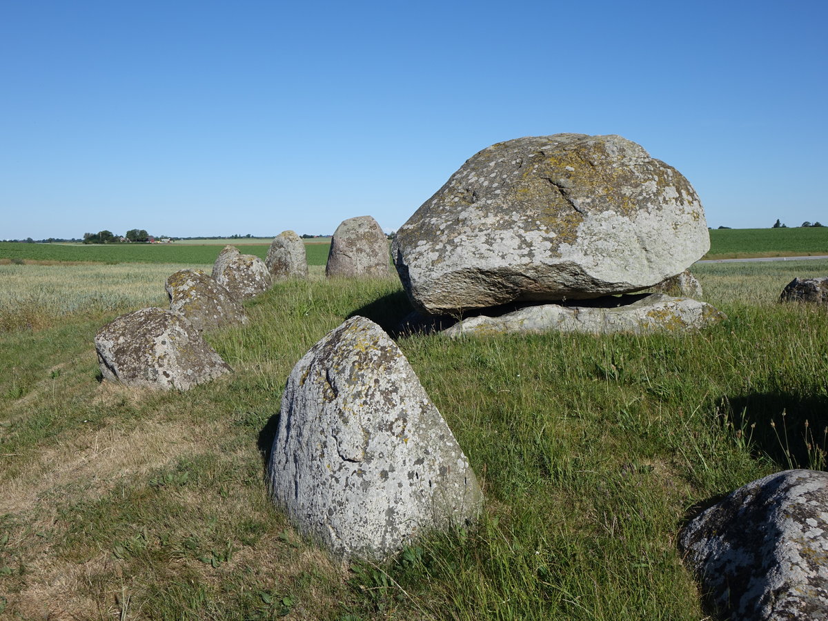 Skegrie, 5000 Jahre altes Steinzeitgrab Skegriedsen, viereckige Grabkammer mit 4 Steinblcken (11.06.2016)