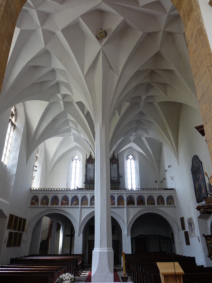 Sobeslav, frhgotisches Netzgewlbe in der Pfarrkirche St. Peter und Paul (27.05.2019)