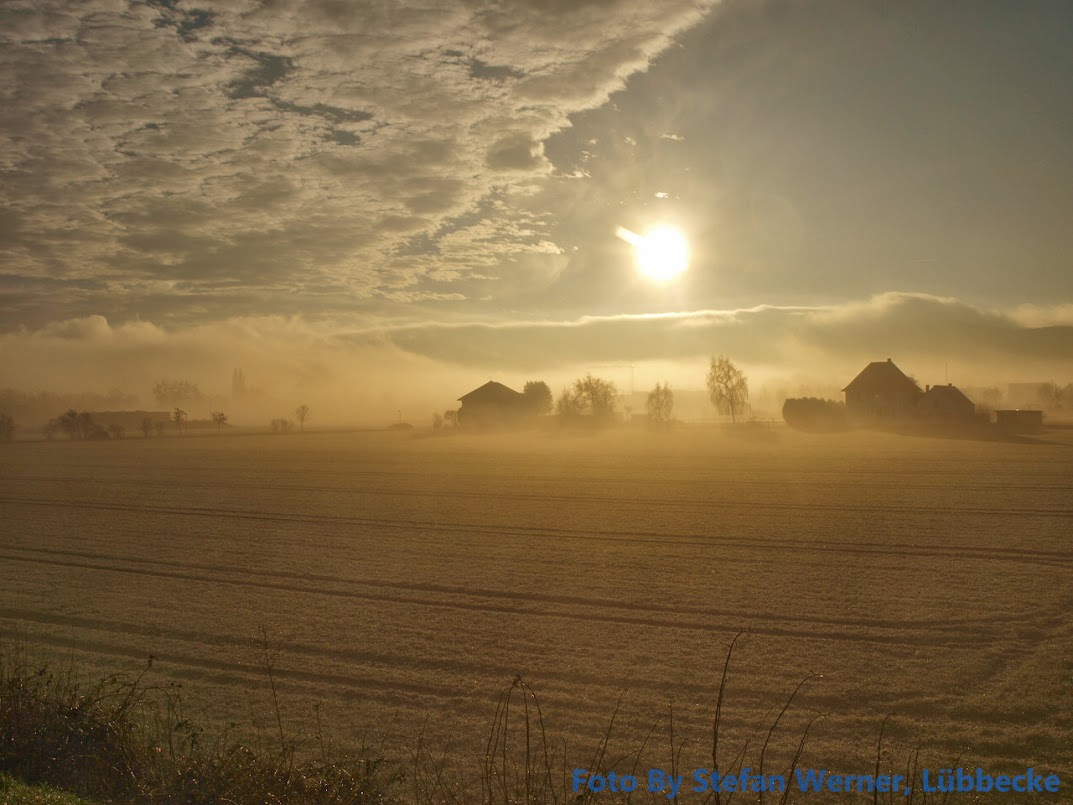 Sonnenaufgang am Wiehengebirge bei Lbbecke am 10.Juni.2017