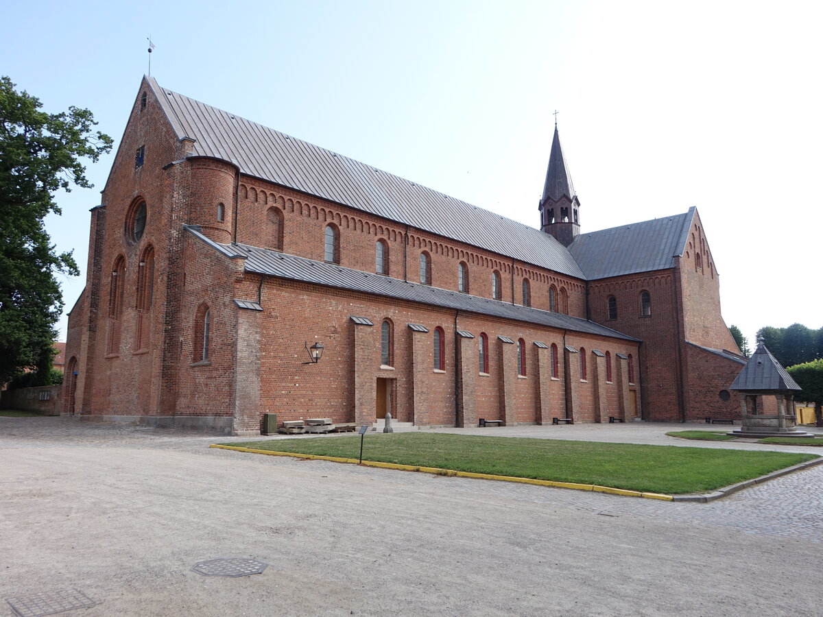 Sor, Klosterkirche, flach gedeckte dreischiffige Basilika mit fnf Langhausjochen, erbaut im 12. Jahrhundert (22.07.2021)