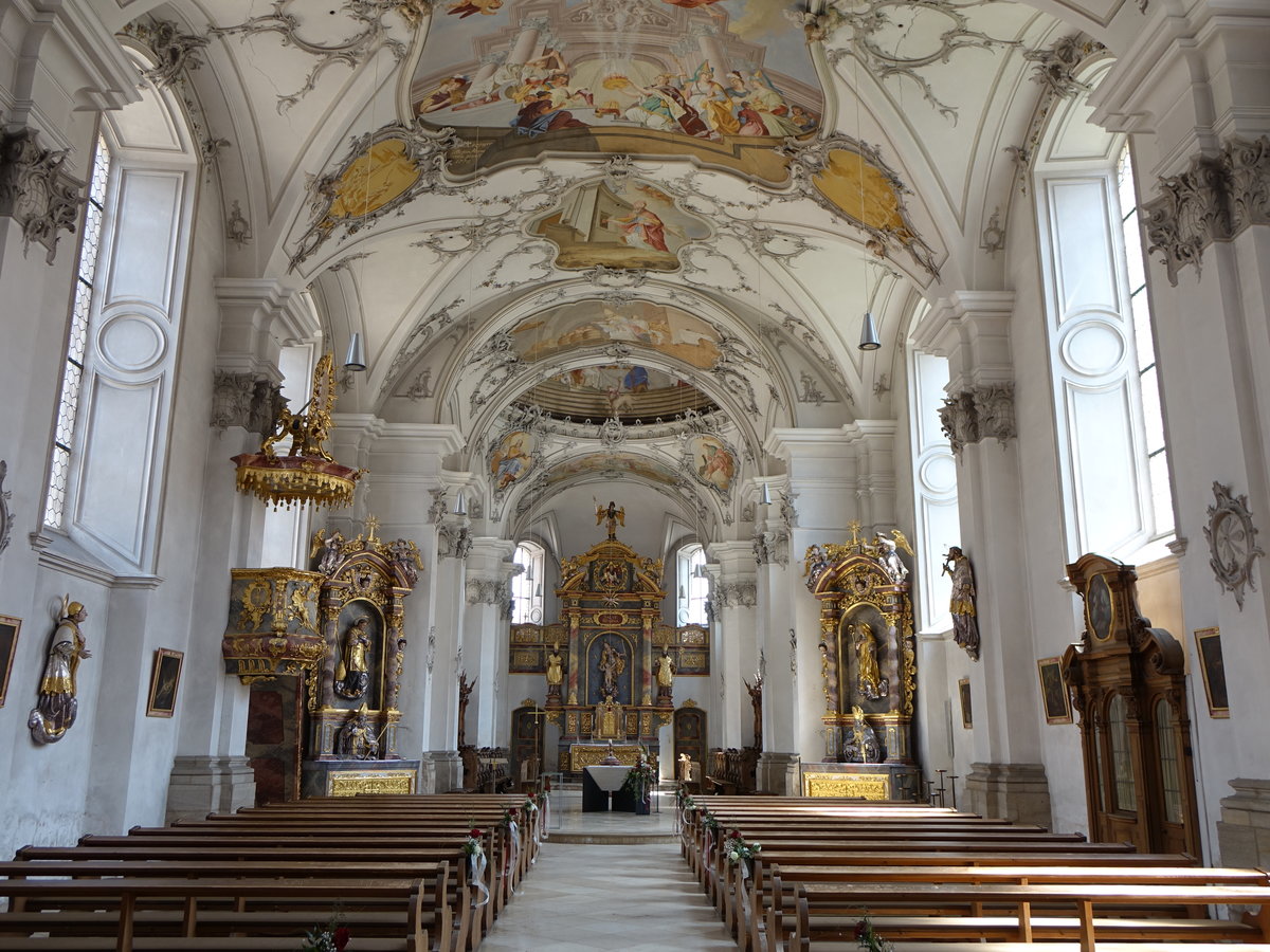 Spalt, barocker Innenraum der Stiftskirche St. Nikolaus, Fresken von Franz Krzinger (26.05.2016)