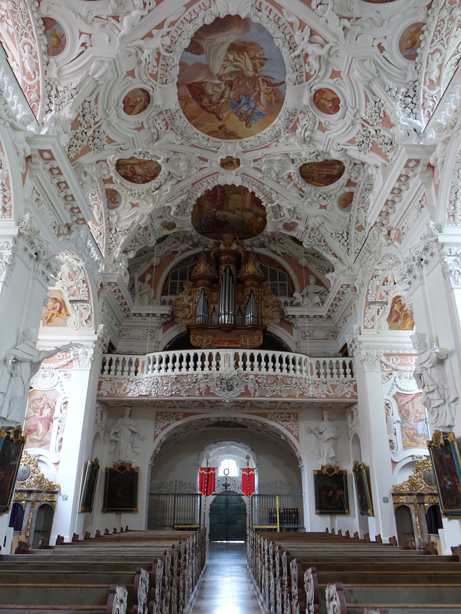 Speinshart, Orgelempore in der Klosterkirche Unbefleckte Empfngnis Mari (20.05.2018)