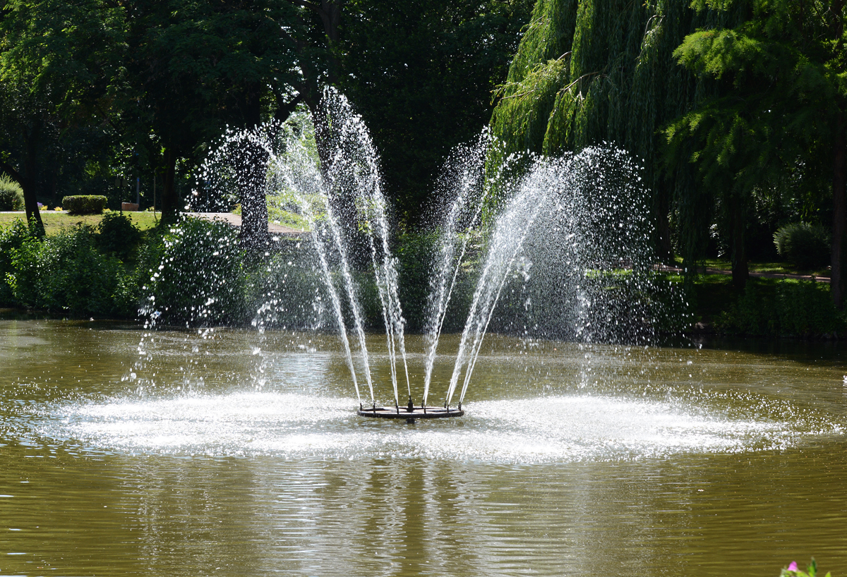 Springbrunnen im Schillerparkteich in Euskirchen - 13.06.2014