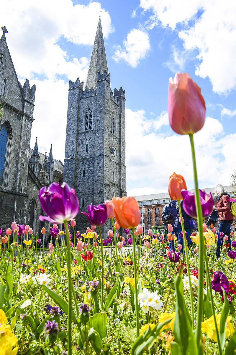 St. patrick's Cathedral in der irischen Hauptstadt Dublin. Patrick war ein irischer Bischof, der wahrscheinlich im 5. Jahrhundert lebte und als erster christlicher Missionar in Irland gilt
Aufnahme: 10. Mai 2018. 