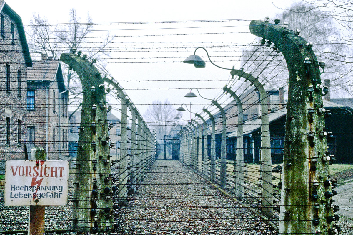 Stacheldraht in Auschwitz. Bild vom Dia. Aufnahme: April 1992.