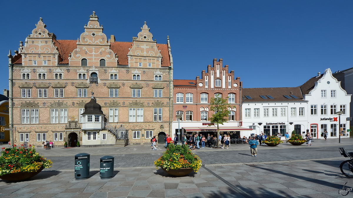 Stadtansicht mit dem wohl schnsten Gebude von Aalborg. (Juni 2018)