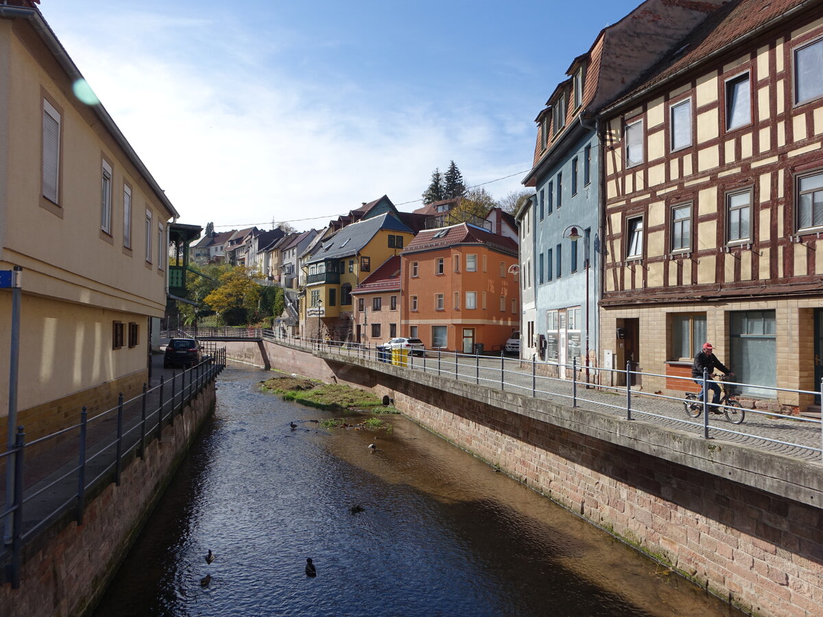 Stadtroda, Fachwerkhuser in der Strae in den Grten (20.10.2022)