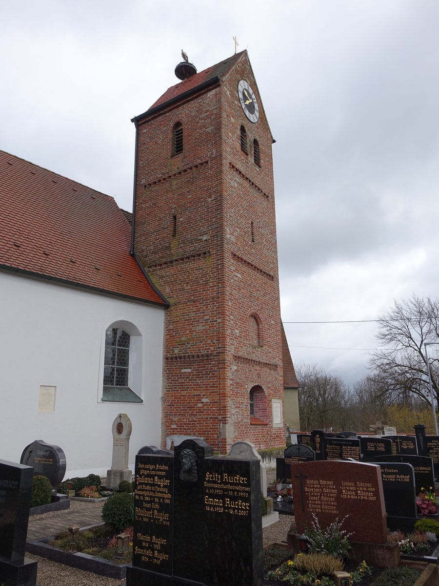 Staudheim, Pfarrkirche St. Quirin, Saalbau mit eingezogenem, dreiseitig geschlossenem Chor, unverputztem gegliederten Backsteinturm, Turm 13./14. Jahrhundert, Schiff und Chor 1. Hlfte 15. Jahrhundert (06.03.2016)