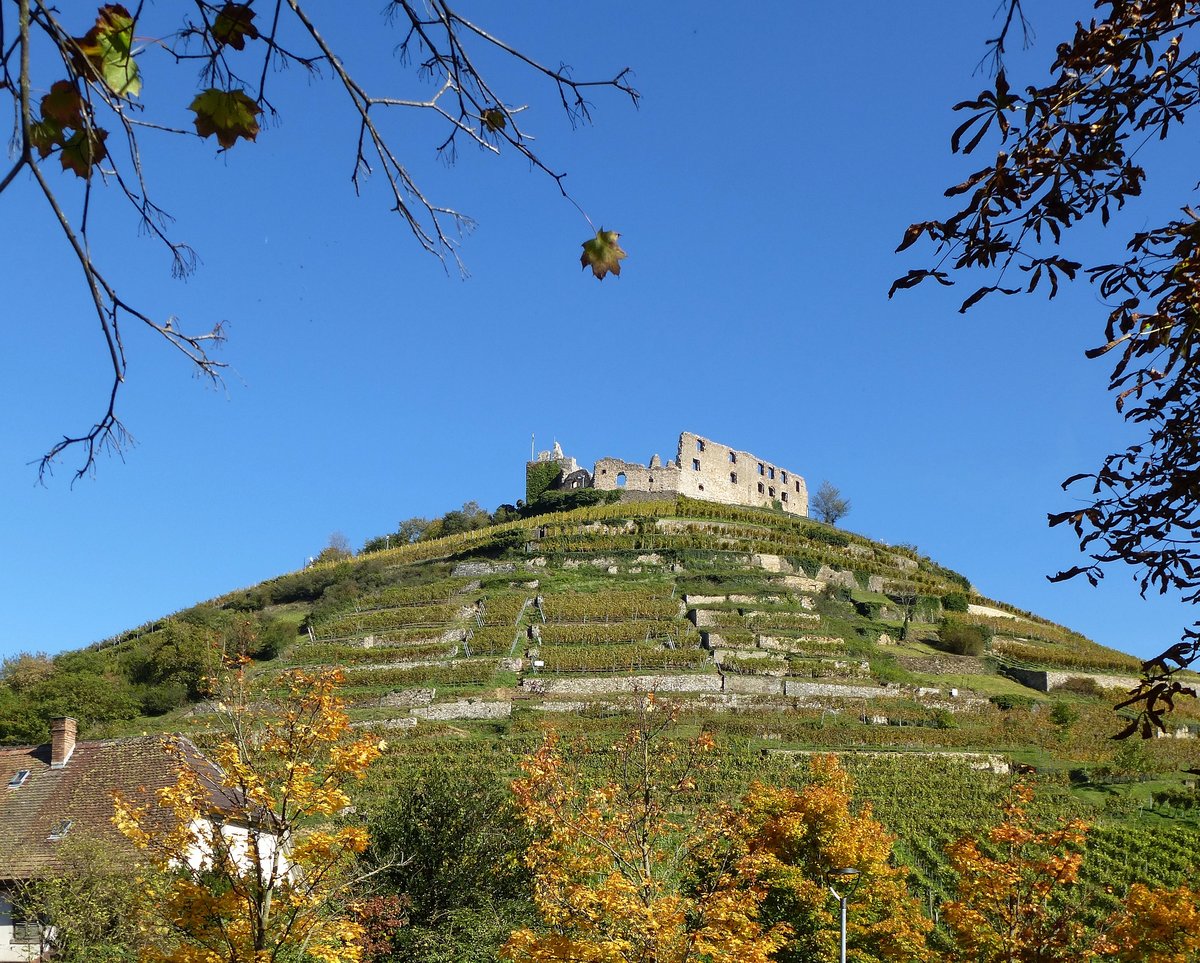 Staufen, Blick zum Burgberg mit Burgruine im Herbstkleid, Okt.2017