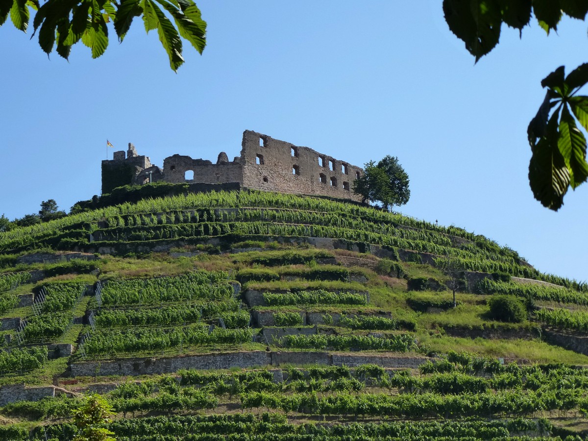 Staufen, Blick zur Burgruine vom Fue des Burgberges, Baubeginn war um das Jahr 1100, 1602 erlischt das Geschlecht der Staufer und ab 1607 ist die Burg unbewohnt, 1632 Zerstrung durch die Schweden im 30-jhrigen Krieg, erste Renovierungsarbeiten ab 1896, Juni 2014