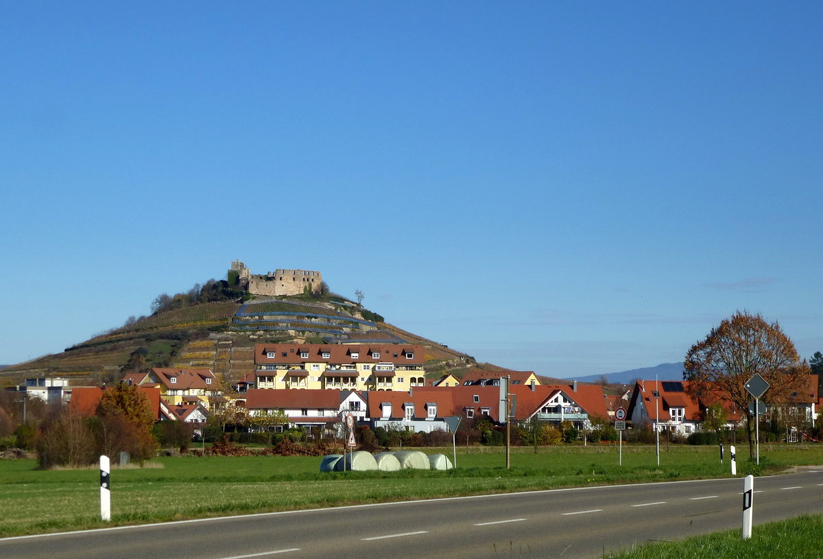 Staufen im Breisgau, Blick von Sden ber das Neubaugebiet zum Schloberg mit der Burgruine, Nov.2015