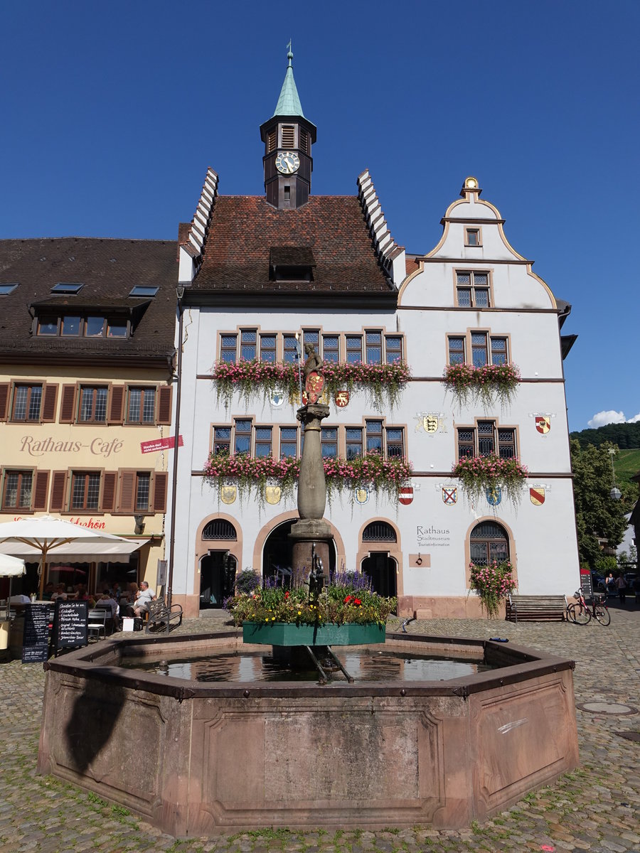 Staufen im Breisgau, Brunnen und Rathaus am Marktplatz (15.08.2016)