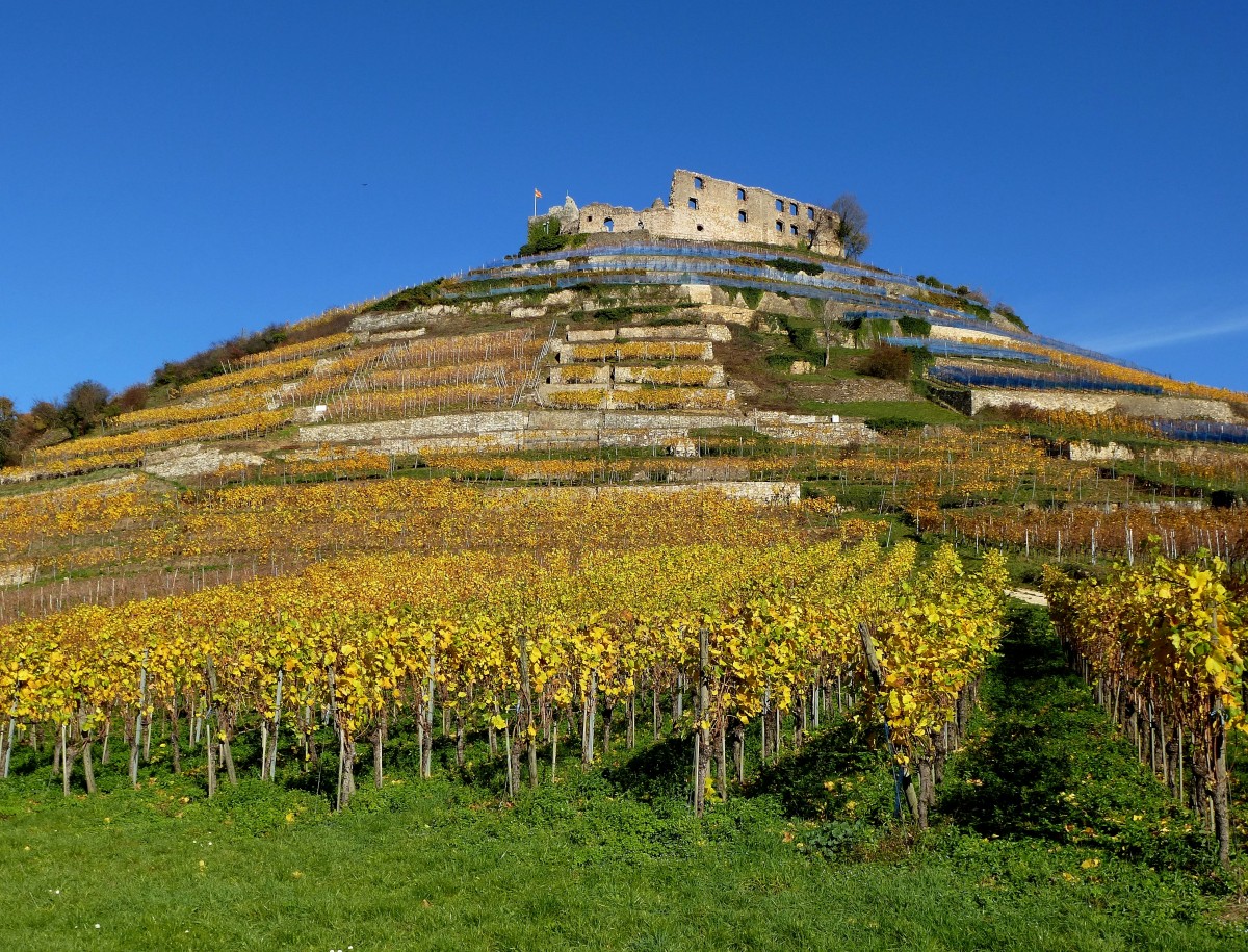 Staufen im Breisgau, der Burgberg im Herbstkleid mit der Burgruine, Nov.2015