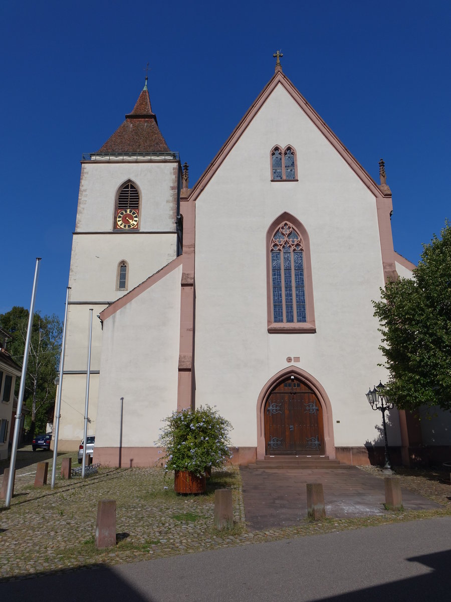 Staufen im Breisgau, Pfarrkirche St. Martin, dreischiffe Basilika, erbaut bis 1518 (15.08.2016)