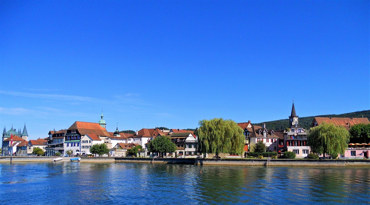 Steckborn liegt am Sdufer des Untersees, am Hang des Seerckens - 03.09.2013