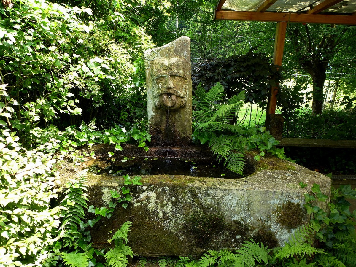 Steinach, historischer Brunnen, Juli 2013