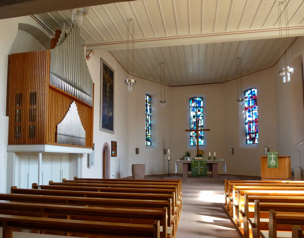 Steinen, Blick in den Innenraum der evangelischen Kirche mit der Orgel an der Nordseite, Sept.2016