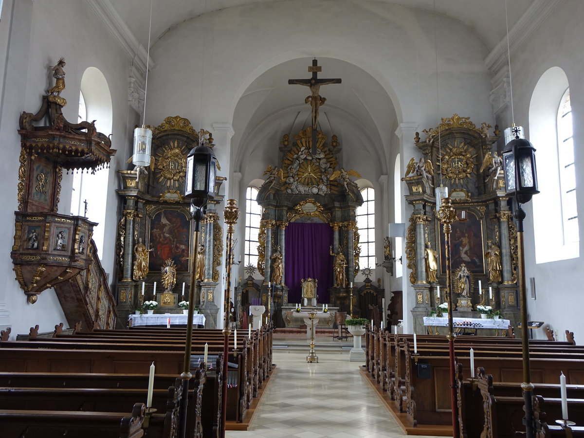 Stettfeld, barocker Innenraum der Maria Himmelfahrt Kirche (26.03.2016)