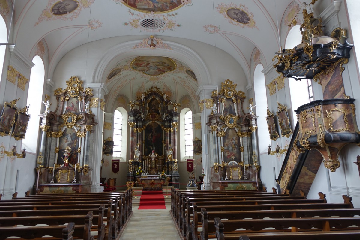 Stimpfach, barocker Innenraum der St. Georg Kirche, Gemlde von Maler Wiedemann, Kanzel von Waizmann, Stuck von Hansjrg Ratgeb (15.02.2015)