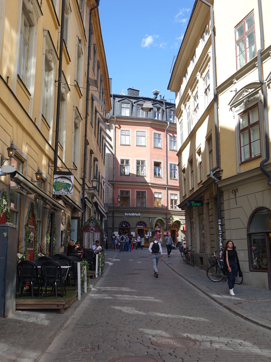 Stockholm, Gebäude in der Triewaldsgränd Gasse im Viertel Gamla Stan (04.06.2018)