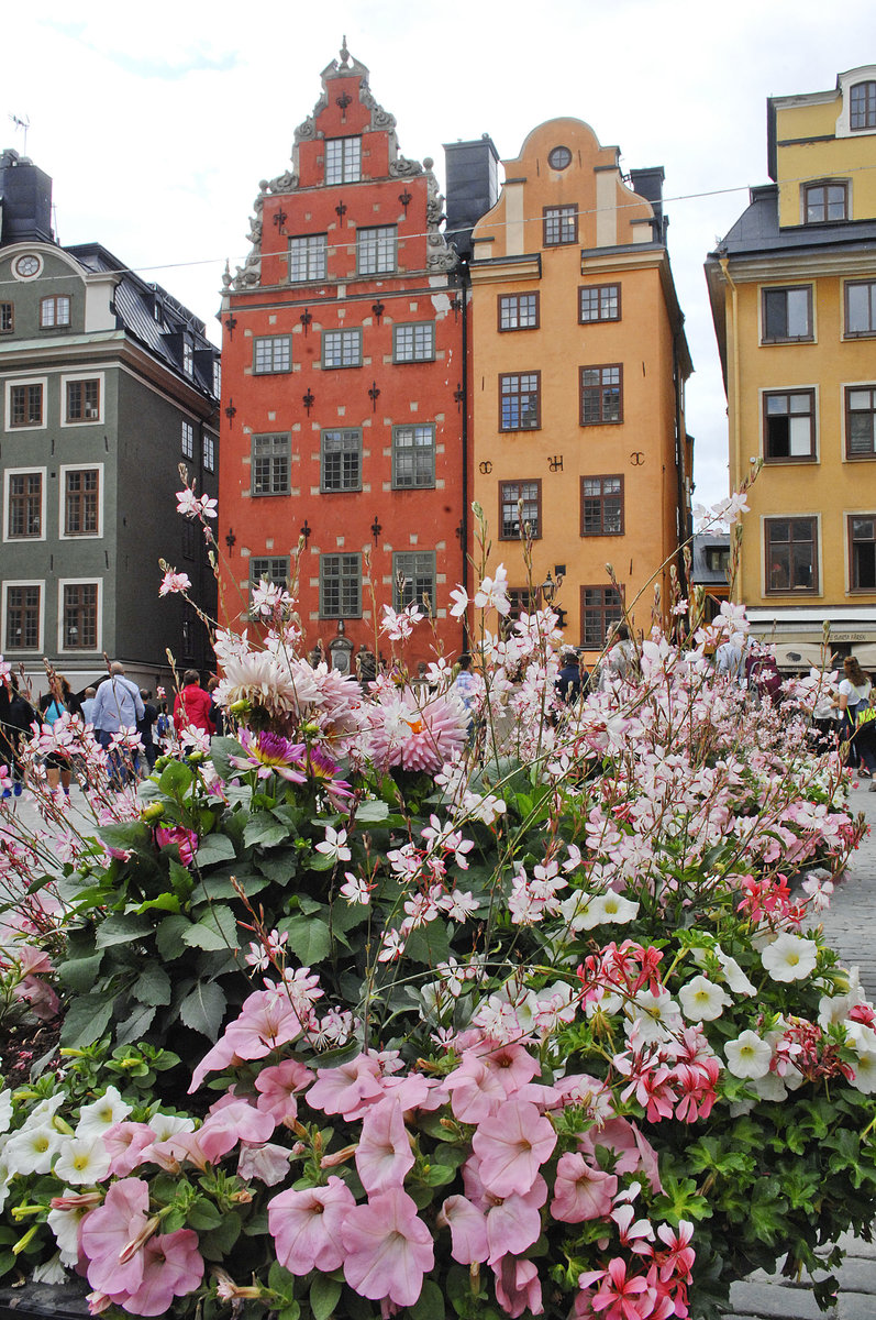 Stortorget in Gala Stan von Stockholm - Im 18. Jahrhundert wurden die Dachformen von vielen Gebuden gendert und die Fassaden einheitlich verputzt. Im folgenden Jahrhundert erhielten die Huser an den Einkaufsstraen reprsentative Schaufenster. Heute gibt es hinter den sichtbaren Fassaden noch eine groe Anzahl an mittelalterlichem Mauerwerk. 
Aufnahme: 25. Juli 2017.