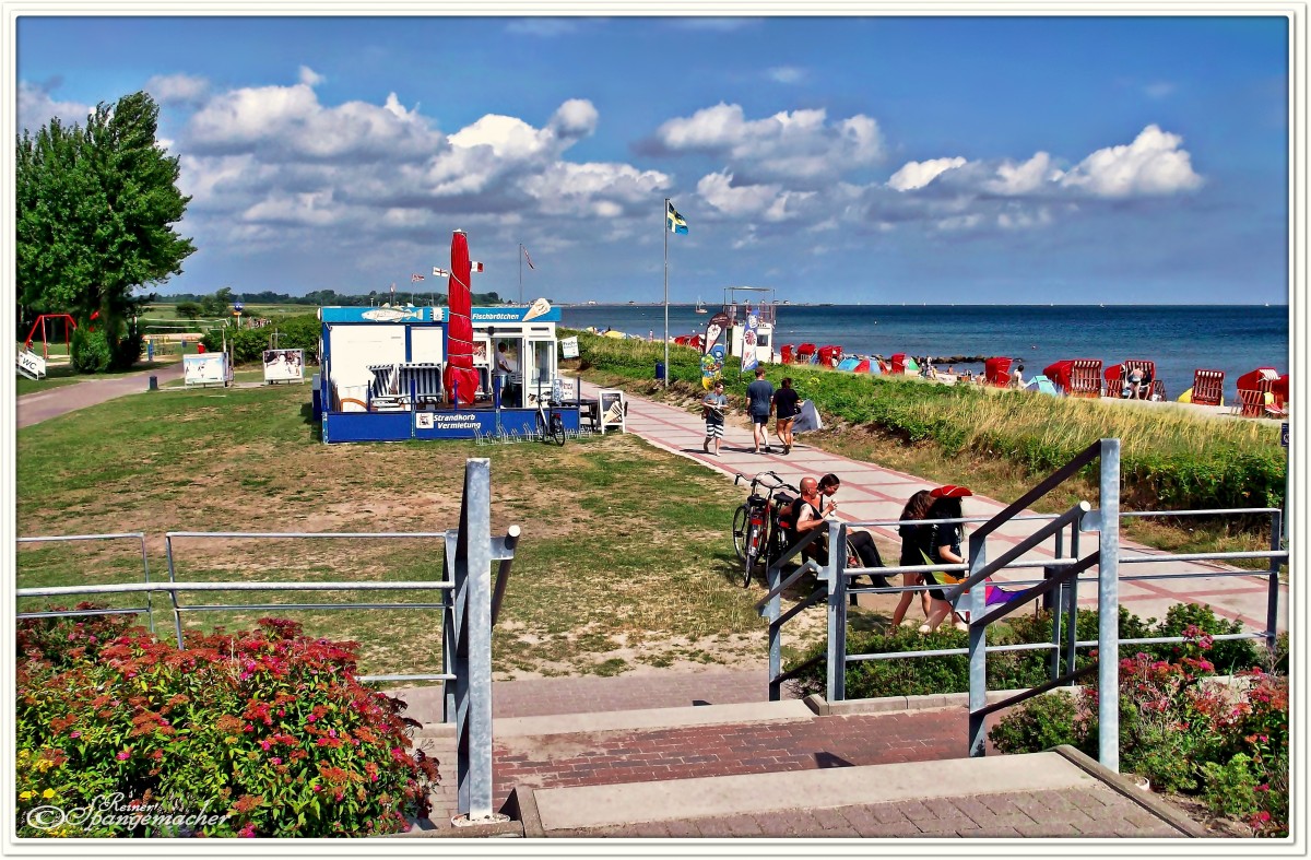 Strand von Olpenitzdorf an der Schlei, August 2013.