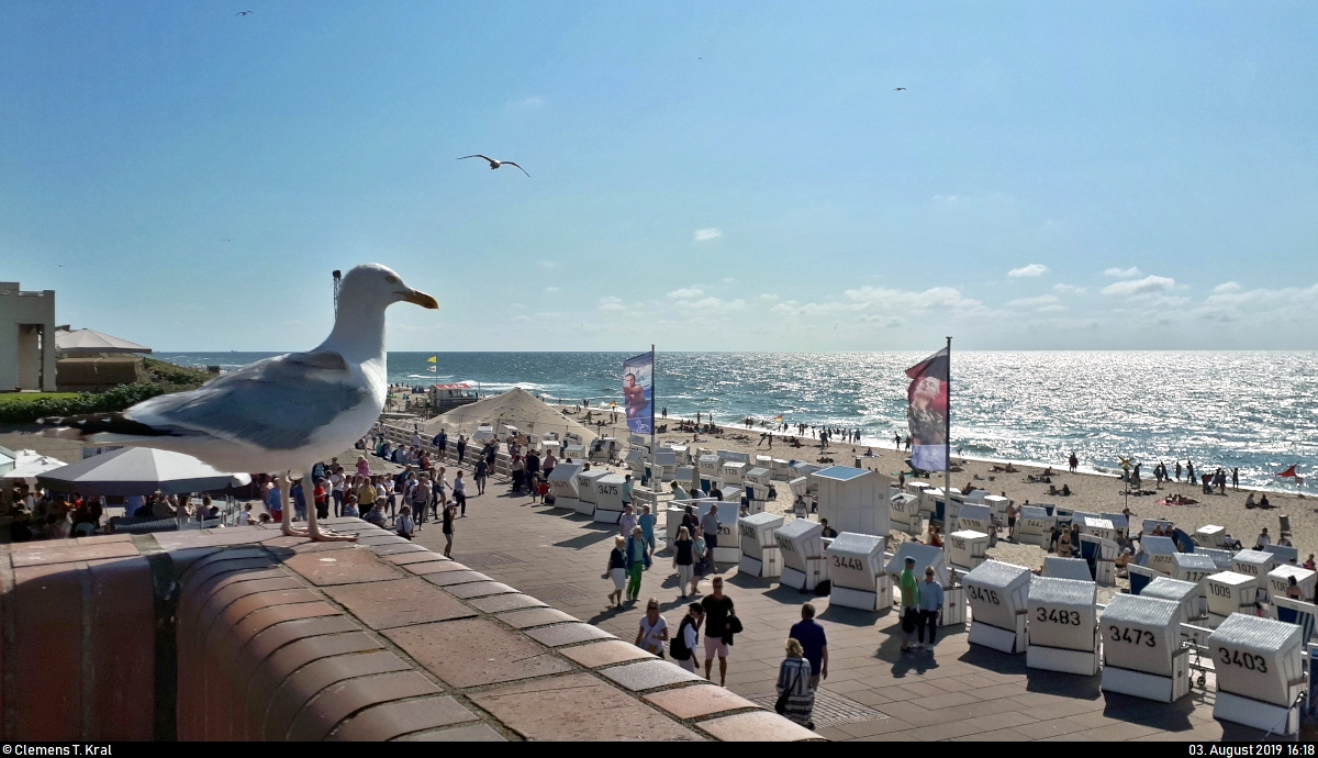 Strandblick mit Mwe in Westerland (Gemeinde Sylt).
Aufgenommen im Gegenlicht.
(Smartphone-Aufnahme)
[3.8.2019 | 16:18 Uhr]