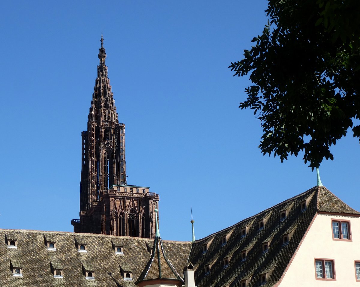 Straburg, der 142m hohe Mnsterturm, von 1647-1874 hchstes Bauwerk der Menschheit, Juli 2016