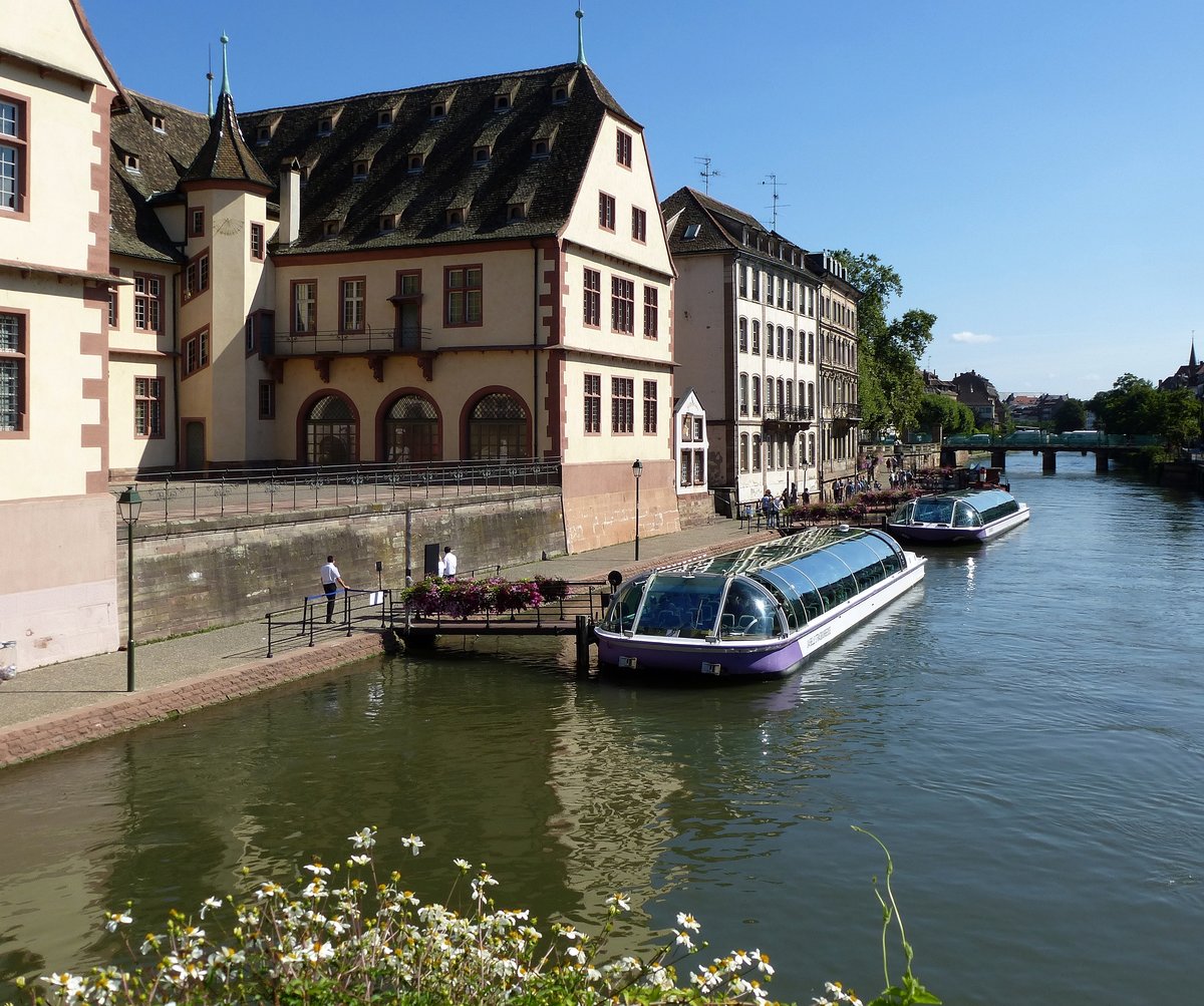 Straburg, die Anlegestelle fr die Ausflugsschiffe auf der Ill, unterhalb vom Stadtmuseum, Juli 2016