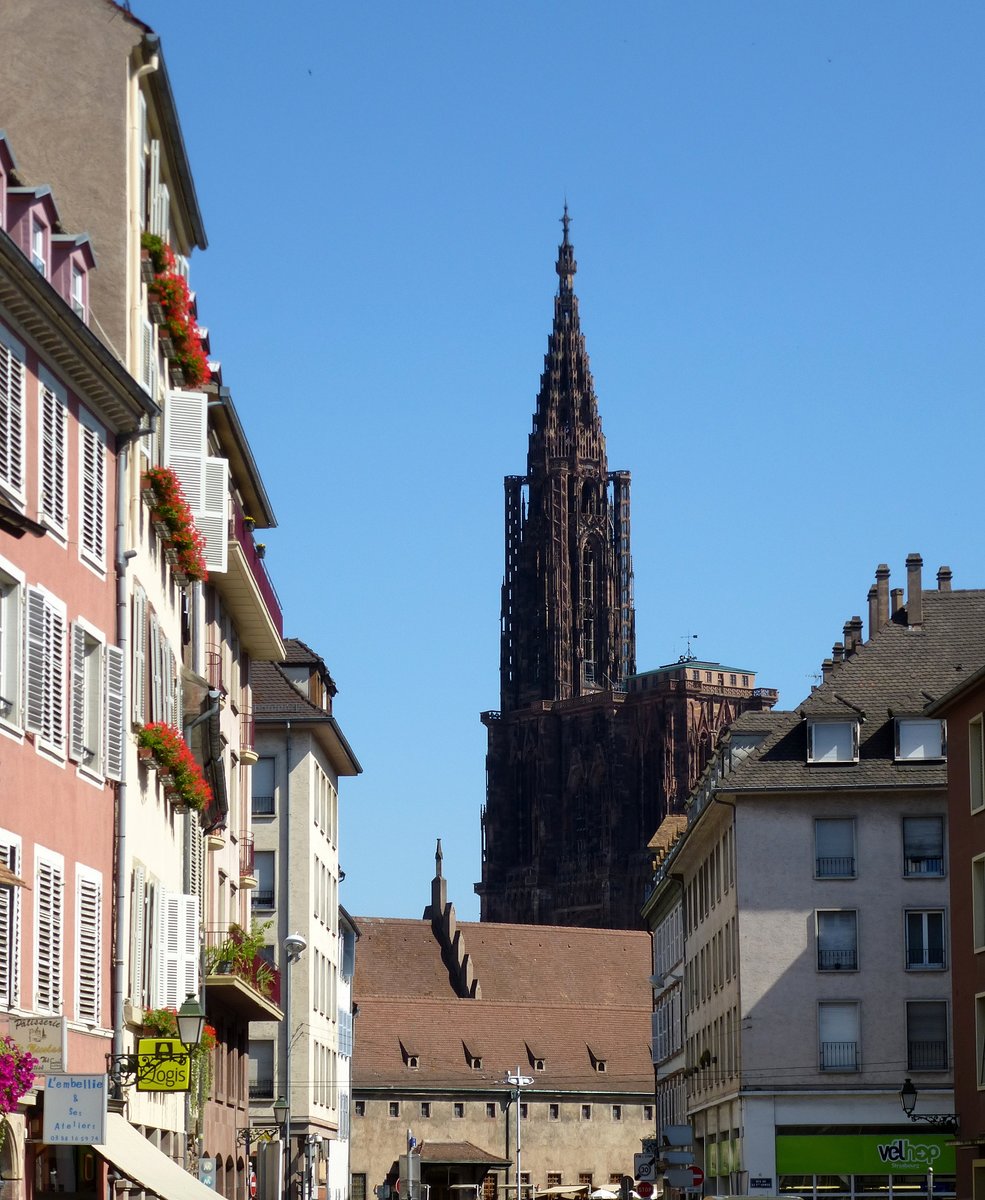 Straßburg, Blick vom Hotel  Goldener Hirsch  zum Münsterturm, Juli 2016