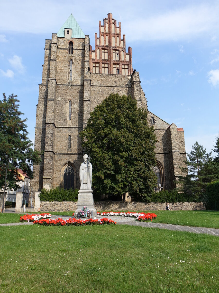 Strzegom / Striegau, Pfarrkirche St. Peter und Paul, dreischiffige Kirche mit Querhaus, erbaut von 1280 bis 1410 (11.09.2021)